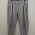 Eileen Fisher  Gray Organic Cotton Pull On Dress Pants Size Medium Photo 0