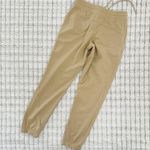 Aritzia TNAction Cozy Joggers Photo 1