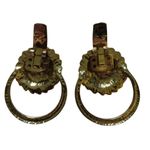 Vintage Lion Head Door Photo 1