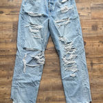 American Eagle Womens 10R Light Wash Distressed Button Fly 90s Boyfriend Jeans Photo 0