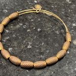 ALEX AND ANI Gold tone Bangle Beaded Stack Bracelet Photo 0