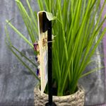 Dillard’s Tri Color Dangle Chandelier Earrings Pink Blue Purple Blue Photo 3