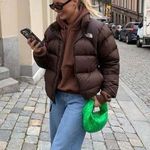 NorthFace 700 Brown Puffer Size M Photo 0