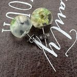 Handcrafted Dried Daisy Pressed Flower Earring Studs White Photo 6