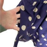 Madewell  Broadway and Broome Silk Blue Polka Dot Dress XS Photo 1