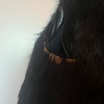 Dana Buchman Vintage fur and leather trimmed reversible vest Photo 7