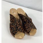 Paige Jules Genuine Calf Hair Clog Size 7.5 Photo 2