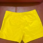 Tahari Summer Pants Photo 5