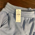 American Eagle NWT 90s wide leg sweatpants blue XL Photo 1