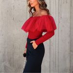 VICI  | Picture Perfect Glam Ribbed Knit Tulle Ruffle Top Photo 1