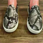 Cole Haan  Grand Series Snake Print Slip On‎ Shoes Photo 3