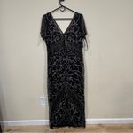 NWT Beaded Mesh Column Gown
Pisarro Nights black size 18 women’s Photo 8