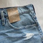 Madewell NWT  Relaxed Denim Shorts Photo 5