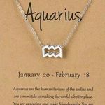 🆕Aquarius Zodiac Astrology Pendant Necklace Photo 0