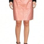 Calvin Klein Size 8 Women’s Knee Length Pencil Skirt 100% Linen Shimmer Pink NWT Photo 4