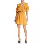 Scotch & Soda  Women's Ruffled Swiss Dot Mini Dress Sheer‎ Yellow Size Medium Photo 0