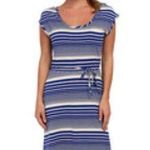 The North Face Kambra Striped Dress Size L Photo 0