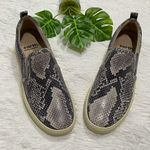 New Earth Snake Embossed Zen Groove Slip On Shoes Gray Size 7.5 Photo 2