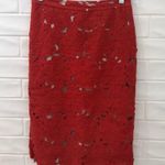 Alice + Olivia Midi Pencil Skirt Photo 5