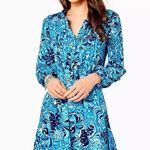 Lilly Pulitzer UPF 50 Seana Chillylilly Paisley Patterned Dress Size M Photo 0