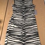 Jennifer Lopez New Xebra Print Mini Dress with Small Cut Out in the Back Size XS Photo 0