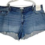 Abercrombie & Fitch NWT Curve Love 90s Relaxed Cutoff Shorts Sz 24 Plus Size Photo 1
