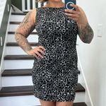 Susana Monaco Susana Mónaco Black and White Dress Size M Photo 1