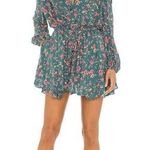 Free People  Flower fields Floral long sleeve dress Emerald green size medium Photo 0