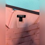 EXPRESS  Light Mauve Pink Long Sleeve Polka Dot Blouse Mesy Babydoll Photo 1