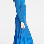 Amur Jenna Midi Skirt Blue Womens Size Medium Photo 1