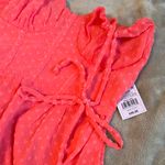 Wild Fable Dress Photo 6