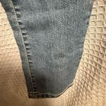 D. Jeans  New York Classic Blue stretch leg Women's Jeans Photo 1