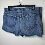 Current/Elliott Current Elliott Boyfriend Short Loved‎ Destroy Photo 3
