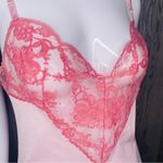 Emilio Pucci Modern Vintage Lingerie  French lace embroidered pink body suit lrg Photo 1