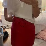 Dee Dee Red Karlie Skirt Photo 0