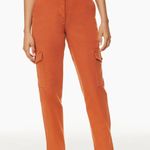 Aritzia Cargo Pants Photo 0