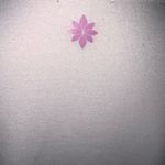 Kensie 🦎Weekdaze Pullover Sweater🌵 Photo 5