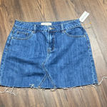 PacSun  Denim Skirt SIZE 28 Photo 0