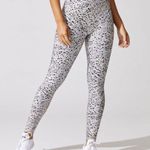 ZARA Terez Super High Band Duo Knit Leggings Animal Collage Hi-Rise Waist Tights Photo 3