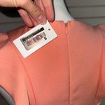 fab'rik Elegant Peach Ruffle Dress Photo 3