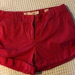J.Crew Twill City Fit Sz 6 Cuffed Shorts Dark Pink Summer Casual Preppy Trendy Photo 0