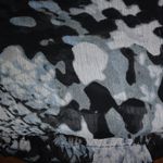 BCX  XL Sleeveless snakeskin Bubble Hem Black White Top Photo 2