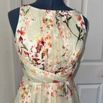 Dress Barn Light Green Sleeveless Floral Chiffon Dress Photo 2
