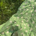 ZARA  Polka Dot print Dress Photo 7