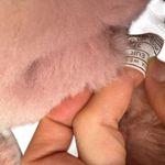 Sophia Webster Clara Sneakers Fur Shearling Leopard Print Statement Shoes Pink Size 6 Photo 7