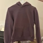 Aritzia Cozy Fleece Hoodie Photo 1