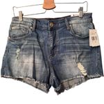 sts blue  Jean shorts Aubrey Shorts 10' size 29 Photo 0