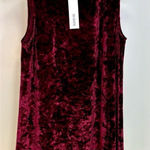 BB Dakota NWT- Meyer Wine Sleeveless Shift Crushed Velvet Dress Size Medium Photo 0