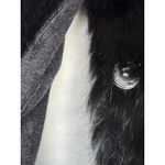 Ryu Charcoal Rabbit Fur Rosette Sheer Tulle Skirt Coat Dress Small Fairygrunge Photo 9