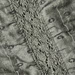 None Black Midi Dress Dark Coquette Cottegecore Goth Swiss Dot M Beach Coastal Boho Photo 6